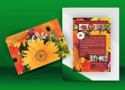 Creation de Visuel à mesure